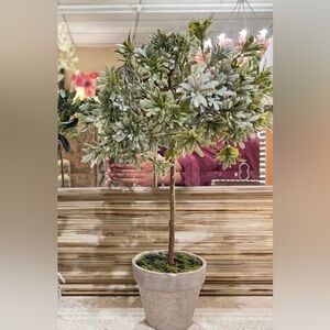 Light Sage Green Topiary in Small Cement Pot